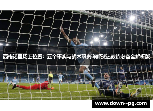 西格诺里场上位置：五个事实与战术职责详解球迷教练必备全解析版