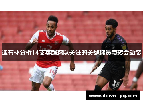 迪布林分析14支英超球队关注的关键球员与转会动态