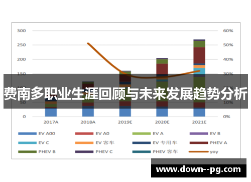 费南多职业生涯回顾与未来发展趋势分析